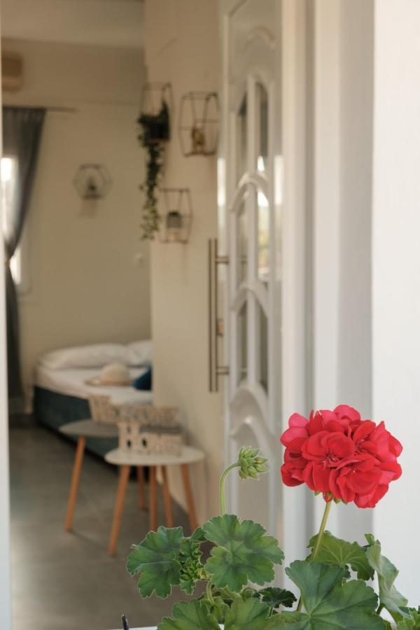 Pyrgi House, Ipsos Corfu Apartment Exterior photo